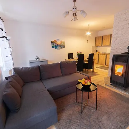 Apartman Mihelcic Delnice Exterior photo